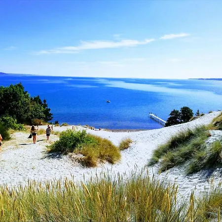 8 Person In Borkop-by Traum