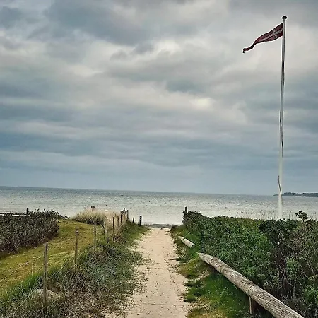 8 Person In Borkop-by Traum